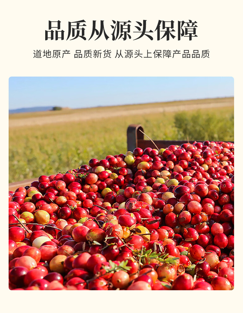 Dried Cranberries (Vaccinium macrocarpon) — Whole Low-Temperature Baked Berries, 500g specifications