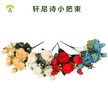 ܎��Ԋ������˹С�ѻ�܎��Ԋ ĵ�� ������˹��c������滨�[�軨