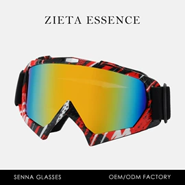 太阳镜;框架眼镜;滑雪镜