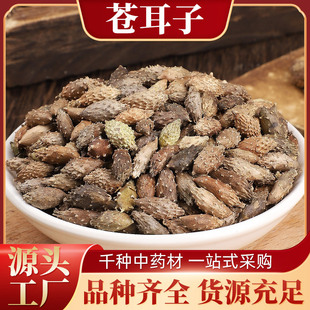 ���n���� �n�������n�ӡ��n�ӡ��}����