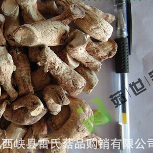 �p���㹽�_1.5�������Ϻ��ϴ󶬹�����Դ�^�����bɽ����ަ