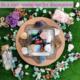 Cross-border natural crystal 30mm heart-shaped gift love natural stone ornaments gem crafts wholesale
