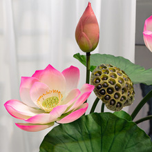 滨 ɻ и߼PU~쾰[ɏԸ߼~׾Gֲٻ