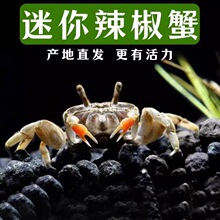��������з���w����΢���^��ˮ�Y���^�pз����ˮ�����坍���׻�