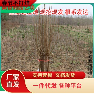 ���Ҙ�����س��� ����������� ����Y�� ���_˹8̖���Ҙ�