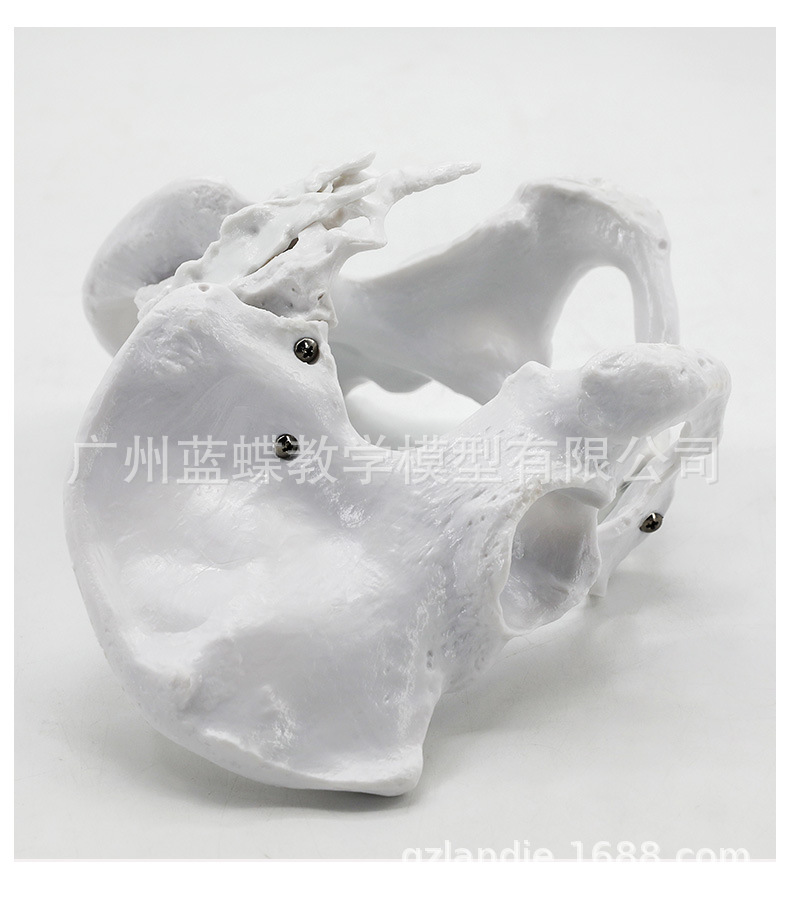 详情_09