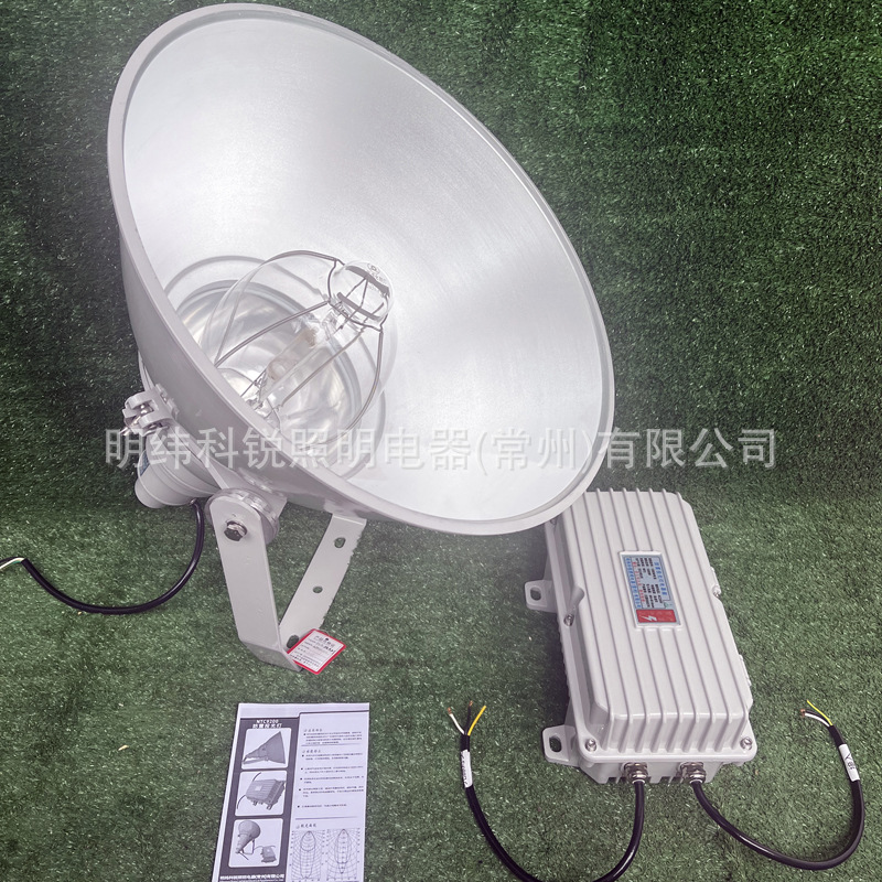 NTC9200�����ͳ�ǿͶ���1000W��±��IP65��ˮ�����������