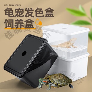 �����ڰװlɫ�������䵰����B���ռ{��������x���^����ů������