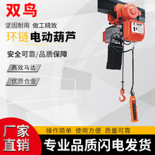 单速双速变频葫芦挂钩式链条葫芦浙江双鸟SHH系列配跑车电动倒链