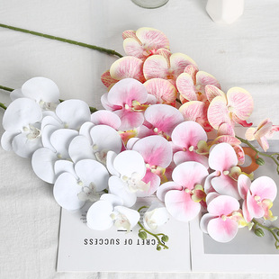 ���滨�����m֦�l��ˇ�b�cӰҕ�[���Ӽ��̨�b������l�羳