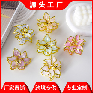 �¿�����껨��߅ץ�A2026Ů�����߼��Շ��аٴ�l�A���~�A�^�