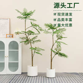 仿真绿植蓝花楹落地盆栽酒店橱窗摆件室内客厅沙发旁装饰盆景假树