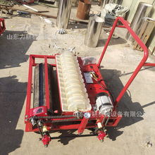 �߲˲��N�C���粥�N늄Ӳ�������΢������ʽ�}���ײ˲����Ͳˌ���