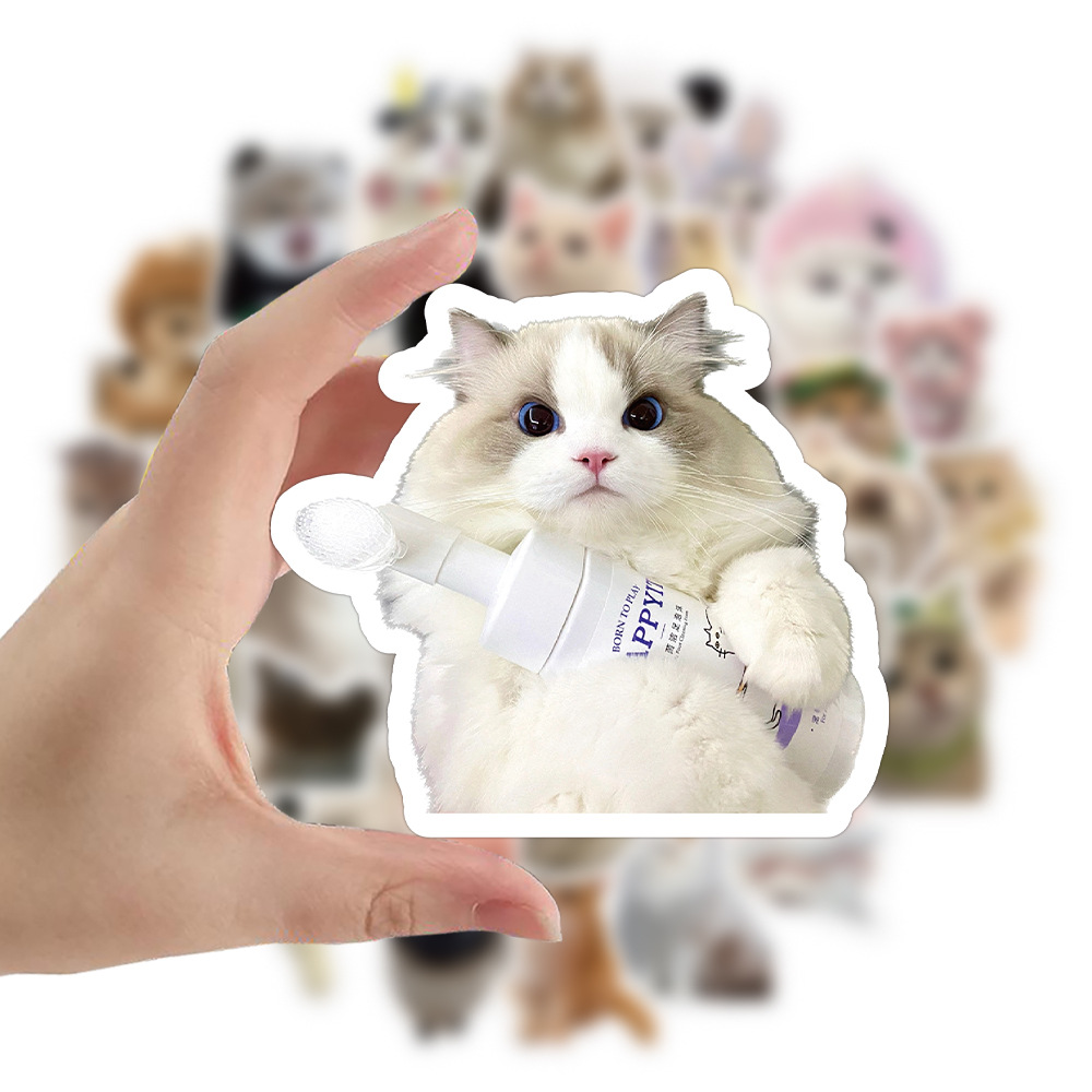 1 Set Dog Cat Learning PVC Self-adhesive Cute Stickers display picture 4