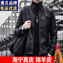 高档真皮皮衣男士立领海宁潮牌帅气休闲秋冬款机车皮夹克大码外套