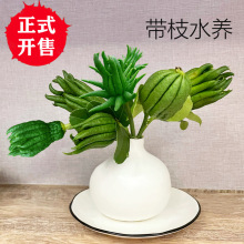 ��֦ˮ�Bˮ����ֹ��r���^�p�幩���ָ����rʳ�ý��A���ֹ��㙴��