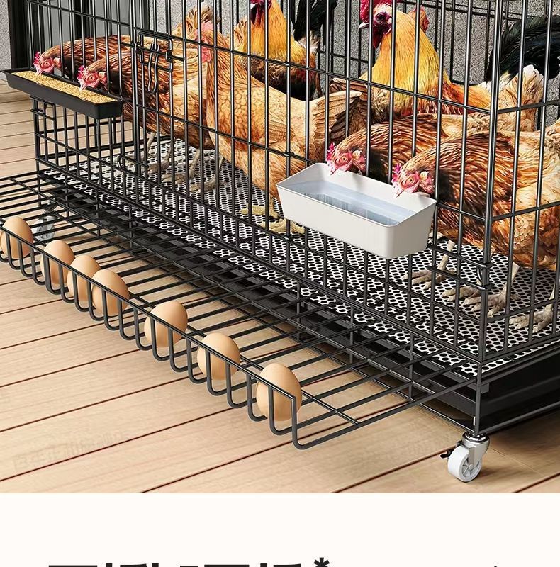 00101c6a-d4ab-449a-ba4f-377aad05dc05.jpe