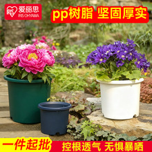 爱丽思家用深型玫瑰月季铁线莲花盆树脂爱丽丝塑料加仑圆形种花盆