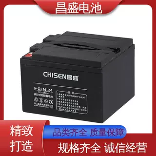 昌盛 6-GFM-24 UPS/EPS电源 铅酸蓄电池 通信机房设备 品牌厂家