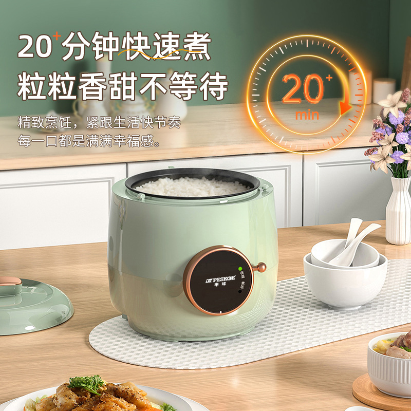 正半球电饭煲小型迷你家用宿舍1-2人电饭锅多功能煮粥煲汤不粘锅|undefined