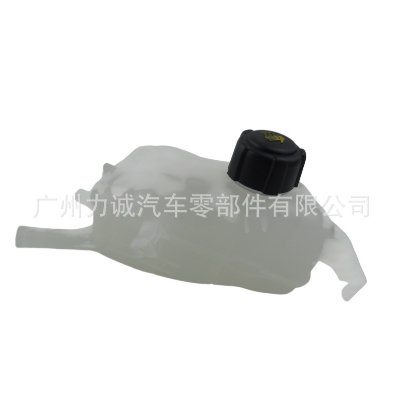 Cross-Border E-Commerce Foreign Trade Supply and Wholesale Suitable for Models Renault Auxiliary Water Tank with Cover 217100005R