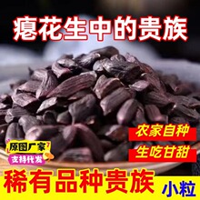 新瘪花生米黑皮生花生小秕粒花生生花生瘦花生零食