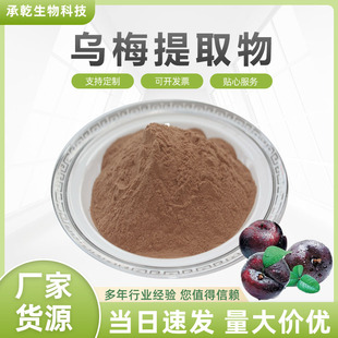 ��÷��ȡ�� ��÷��  ÷��/��÷��ȡ�� ˮ�� 1KG�� �S�Ұ��]