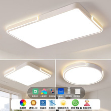 �͏d���L����2025�¿�LED��픟��F�����s�A�����ҷ��g���������l