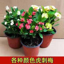 ��÷���Դ��Ϙ��������̨�҃��⻨��ֲ���F�����ļ��_���Gֲ