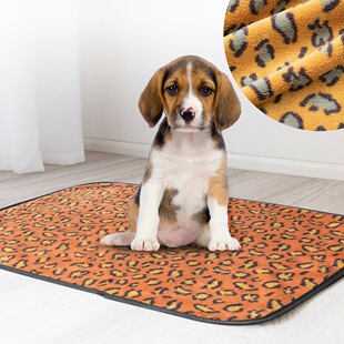 ����ɺ���q��ϴ��|���y����������򲻝���Ƭ��ˬ؈��˯�|�o��|