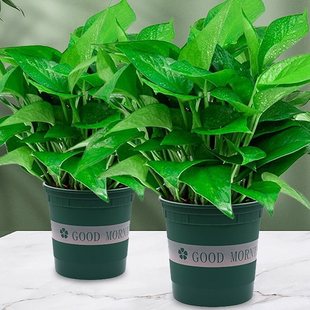 G}·ˮ҃ȾGjһһ]S]S