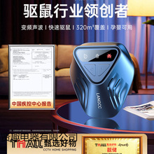 s؈s2024¿һ偶˓׽