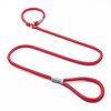 Factory explosion -proof pets traction rope P chain dog traction rope pulling cat pet pet traction dog chain