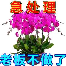 ���B�_������ֲ����ļ��������������m�����Դ��_����40