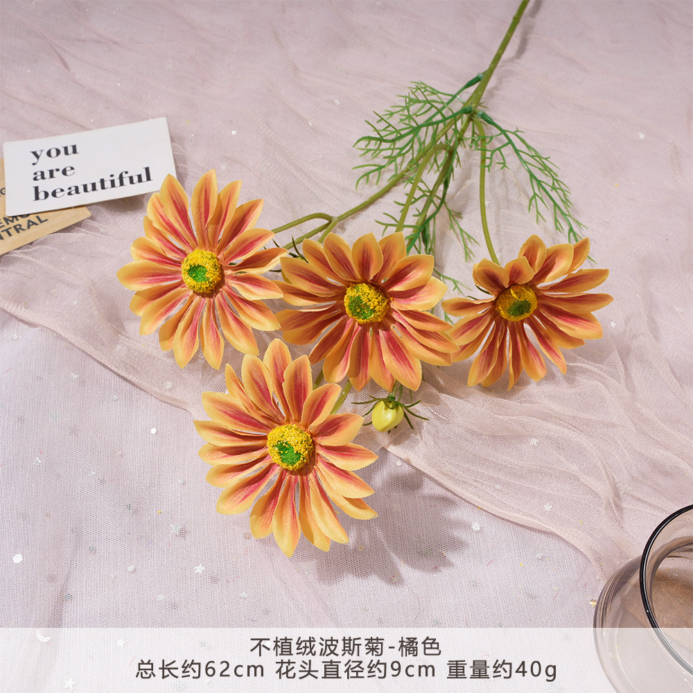 FS - Cosmos không bám bụi - Màu cam