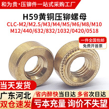 H59�S�~���T��ĸ������ñ�ACLC-M2M2.5M3M4M5M6M8M10M12�A��ĸ