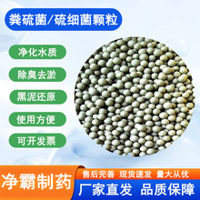 �򼚾��w���ֽ����ˮ�a�������򻯚�S����w���Bֳ�ĵ��w��