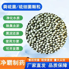 其他水处理;杀菌灭藻剂;精细化学代理