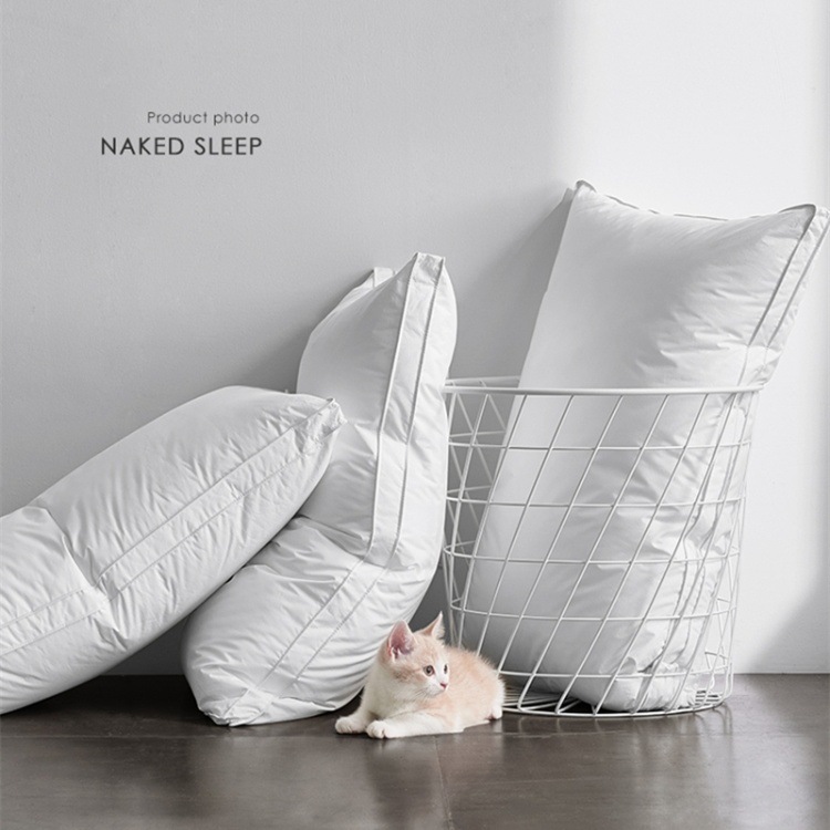 44f801c2-3bcf-4dbe-b36e-10bd18c938ee.jpe