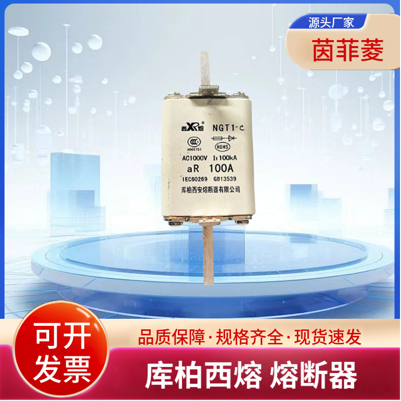 NGT1C 380V 100A 125A 160A 200A 250A库柏西熔快速熔断器
