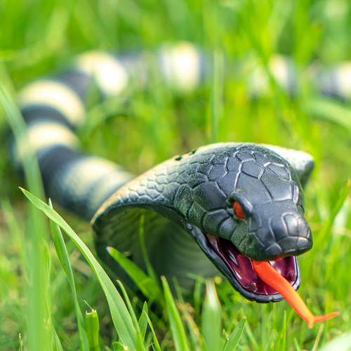 The same type of trick toy snake simulated centipede electric remote control decompression spoof trick spider plastic fake snake
