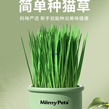 è��������ֲС�������������������è������è�仯ë����ʳ��Ʒ