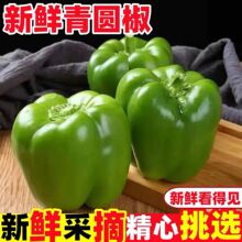���r�ཷ�A���𽷲������\�����l؛���ˣ��Ɠp�G�����a�l��