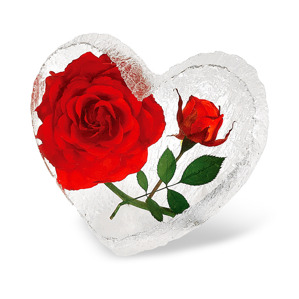 Big design airplane, roses