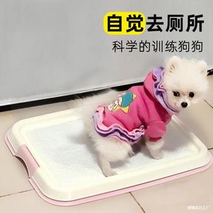 Dog Toilet Pet Potty Mesh-Free Small Dog Puppy Flat Dog Toilet Mesh Dog Toilet