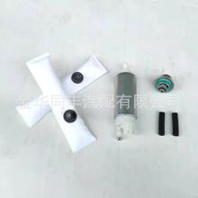 跨境汽车燃油泵套装2520285/2520700改装版发动机厂价直销油泵、