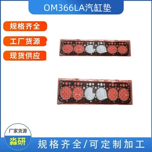 Auto Parts Engine Overhaul Kit Suitable for Truck Cylinder Gasket Om366La Man Truck Cylinder Head Manufacturer