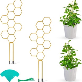 Betula Cedar gardening climbing frame plant bracket Mountain Turtle support Rod honeycomb iron frame creative plant fixing Rod