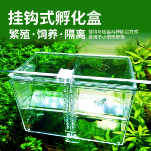 Hook-Type Incubation Box Fish Tank Isolation Box Tropical Fish Spawning and Hatching Room Fish Fry Juvenile Fish Incubator