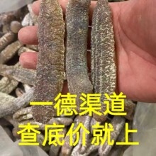 c�S�����l��ζ��؛15-16�^�S��ɳ�d�������I�B���a���|Q��